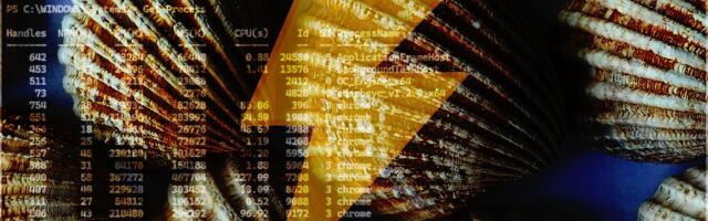 Here are the top ten PowerShell commands in Windows that will get you started