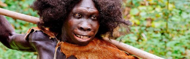 Внешность древнего вида Человека, 1 600 000 — 1 500 000 лет назад