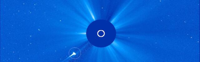 Watch a Comet Get Torn Apart by the Sun and Become a Headless Ghost