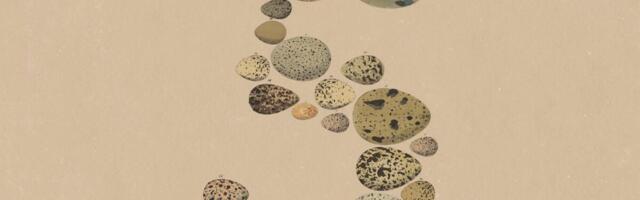 Anthropic Releases New Claude Model, Positions It as a Cost-Efficient Version of Fable 5