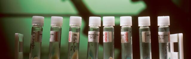 This startup can predict the success of complex cancer treatments