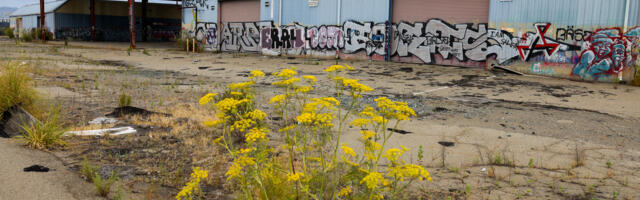 Has Alameda’s new deal hacked the opposition to Bay Area housing construction?