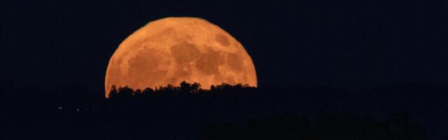 Don’t miss the Beaver Moon, the last supermoon of 2024