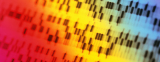 Y Combinator’s biotech startups incubate a new generation of therapies and tools