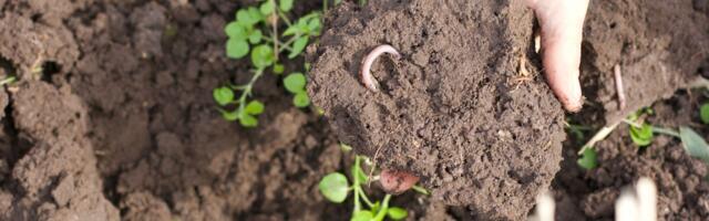 Please stop investing in sexy startups