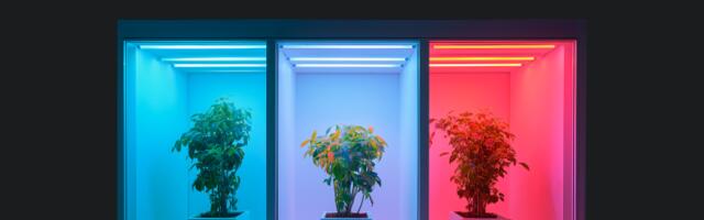 Патентный анализ биофотоники