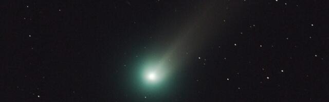 Newly Discovered Comet Could Appear During the Day—If It’s Not Destroyed First