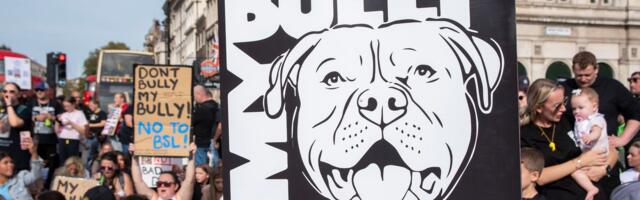 Dog breed bans are about human prejudice — not the dogs