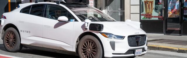 Social media mourns beloved cat hit by Waymo car