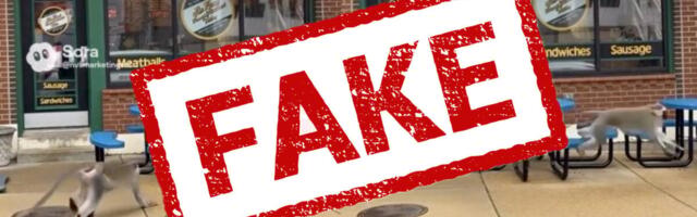 AI Images Create Confusion as Real Gang of Monkeys Roams St. Louis