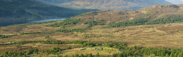 Four in Five Britons Support Rewilding According to New Research