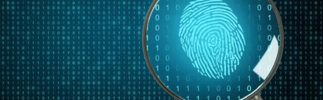 Crypto hunter uncovers $500,000 Bitcoin stash hidden by spouse during a divorce proceeding