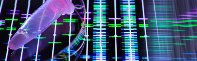 Genetic testing company 23andMe declares bankruptcy