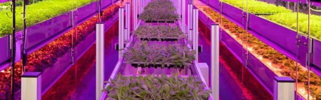 UK agritech Vertical Future up for sale after losses mount