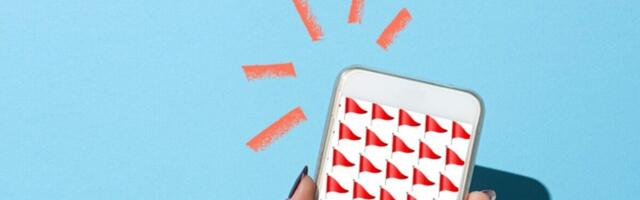 Cybersecurity: The Red Flags and How To Protect Yourself From Them