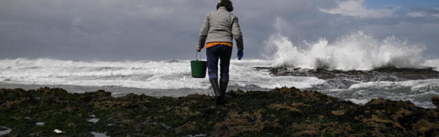 Ocean acidification crosses “planetary boundaries”