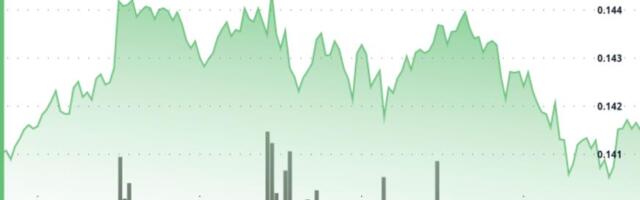 Dogecoin Holds $0.14 Floor as Network Activity Hits 3-Month High