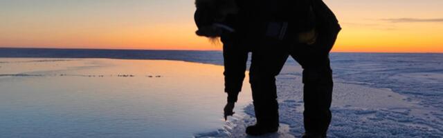 Ice, Ice, Maybe? Scientists Are Trying to Regrow Ice in the Arctic With Simple Tech