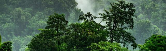 Rize puts away €3 million pre-seed to finance regenerative farmers with carbon credits