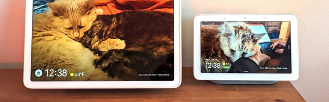 Google seems to have nuked another useful Google Home feature