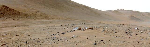 A martian rock has lots of carbon on it, and it's not clear why