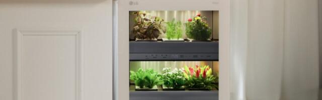 LG tiiun: Empowering Cooking Enthusiasts and Indoor Gardeners with Fresh Herbs