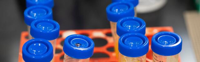 Supplements are the new obsession, even as doctors stay wary. I went inside one of the industry's biggest factories.