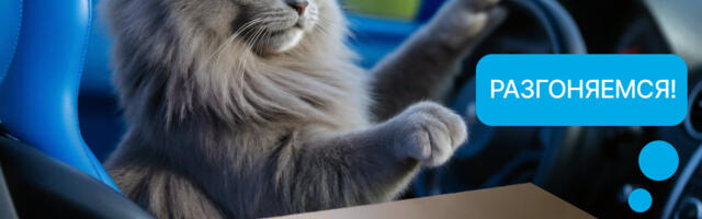 Какие GPU вам подойдут? Фото из ЦОДа и обзор H200 и L40S