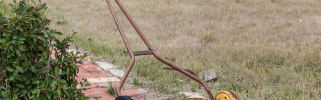 What Did The First Lawn Mower Look Like? (And Who Invented It)