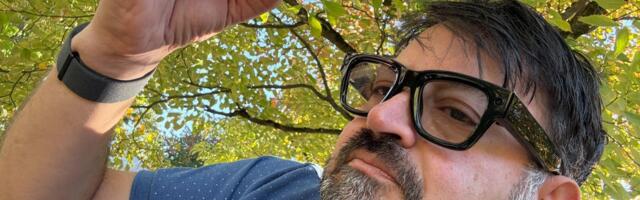 I Have a Magic Eye and a Magic Hand: Two Days With Meta's Display Glasses