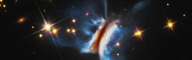 Behold ‘Dracula’s Chivito,’ the Largest Planet Nursery Astronomers Have Ever Seen