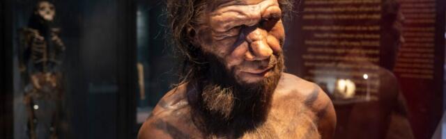 Neanderthal Men and Human Women Were Most Likely to Hook Up, Study Finds