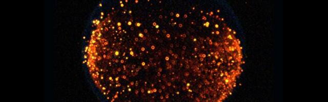 NASA Plans to Start a Fire on the Moon in First-of-Its-Kind Experiment