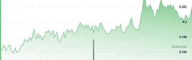 DOGE Rally Stalls at 20-Cents, But Large Holder Activity Flashes Bullish Signs