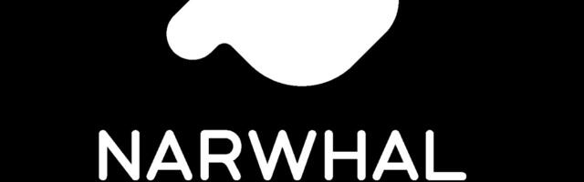 Narwhal Accelerator launches to support game dev startups