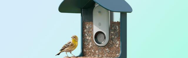 Bird Buddy is a Fun iPhone-Connected Smart Bird Feeder