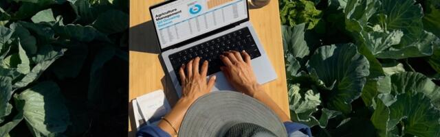 The “daylight” display: screens that actually work in the sun