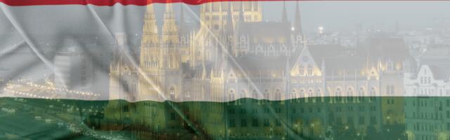 Charting Innovation: 10 promising Hungarian startups you must keep an eye on in 2024