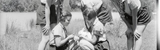 How millennials ruined summer camp