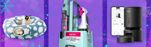 The best gifts for pets (and their parents): 30+ ideas that the internet and Mashable reporters stand by