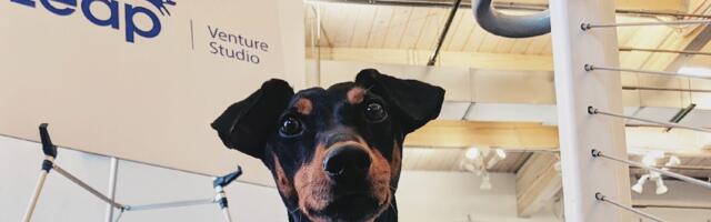 Leap Venture Studio invites pet care startups to apply for its program