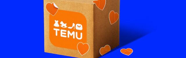 I ordered from Temu and worried my order would be slapped with a tariff