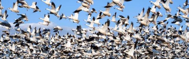 The Protocol: Zora moves to Solana