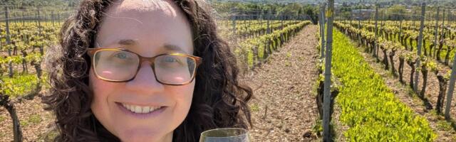 I'm a certified sommelier. These 4 underrated European wine regions belong on your travel bucket list.