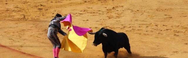 Bitcoin’s $80,000 bull bet just took over the market