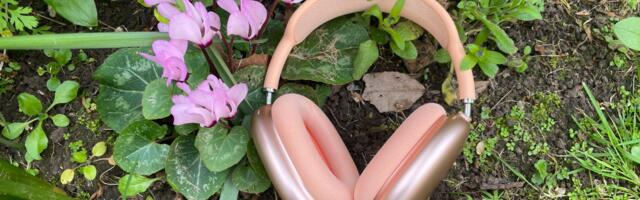 'Doubtless the best noise-cancelling iPhone headphones on the planet': I tested AirPods Max 2 and they really are that good — here's why