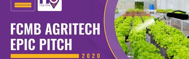 6 Nigerian agri-tech startups to compete for FCMB funding, support