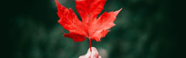 Cyclic Materials, Ionomr Innovations, Summit Nanotech among Canadian returnees to the 2025 Global Cleantech 100