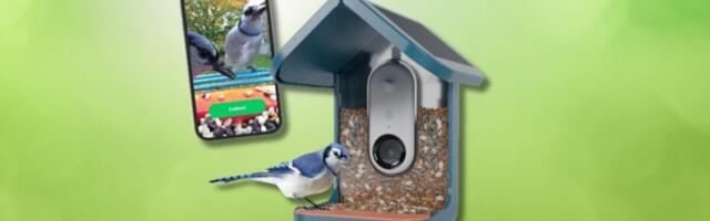 Save $30 on the Bird Buddy smart birdfeeder ahead of Mother's Day