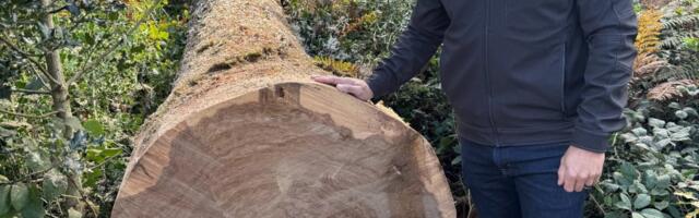 ‘Pride in company purpose’: Bay Area cork supplier CEO talks impact of wine downturn